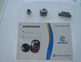 Хорошие новости | Теплые поздравления компании Zhaoqiang Sealing Industry, полностью принадлежащей дочерней компании Zhaoqiang Titanium Magnet, за то, что она попала в короткий список за специализацию, изысканность, уникальность, инновационный «Маленький гигант»!