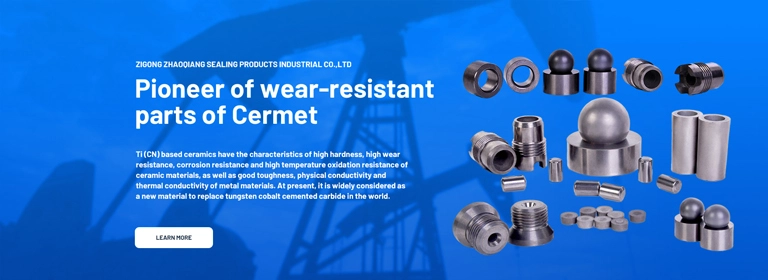 Пионер износостойких деталей металлокерамика